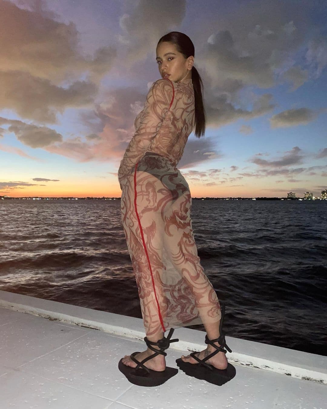 Rosal铆a tambi茅n comparti贸 algunas fotos del fin de a帽o y adem谩s de sorprender con su particular calzado, cautiv贸 con un vestido transparente que no dejaba mucho a la imaginaci贸n.