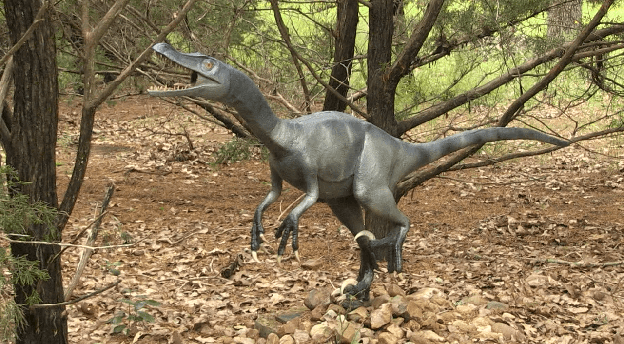 El museo cuenta con un camino que recorre senderos naturales. También puedes ver conejos salvajes y lagartos.