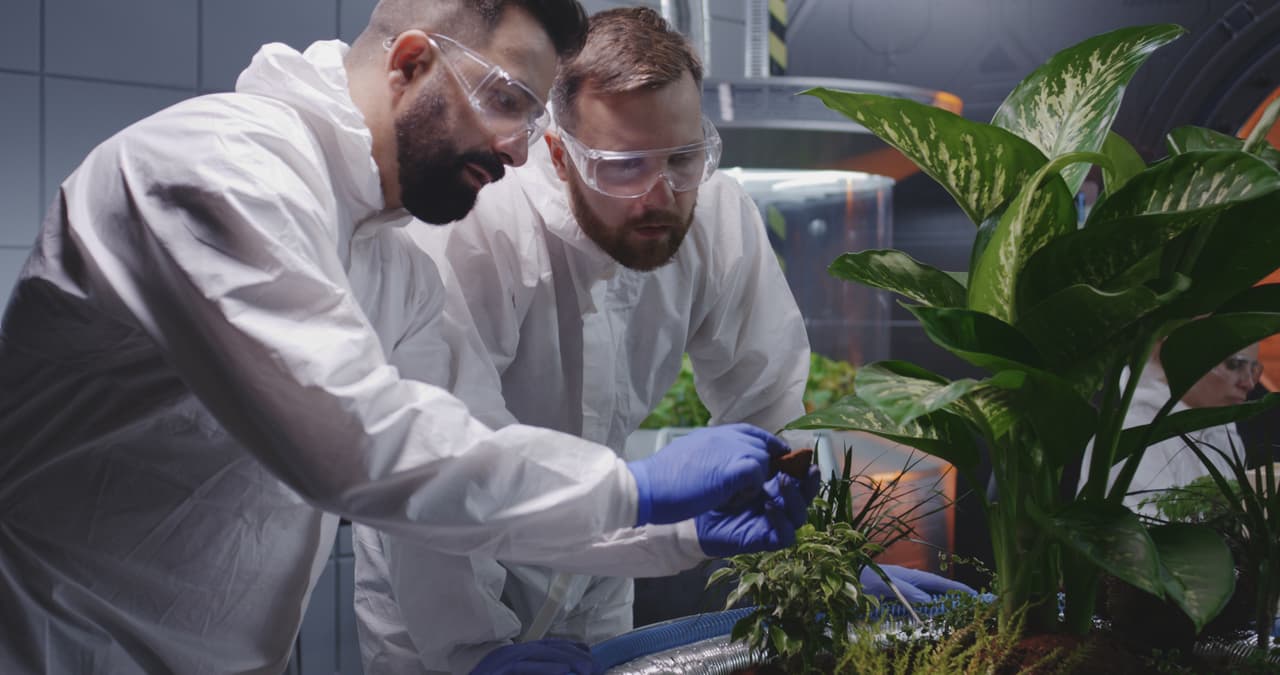 <b>Puesto 7 | Científicos de la atmósfera y el espacio.</b>
<br>
<br>Salario promedio anual en 2019: 95,380 dólares.
<br>Crecimiento de empleo proyectado de 2018 a 2028: 8%