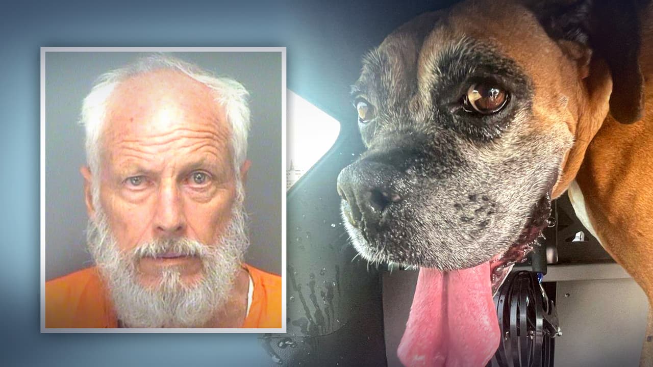 Arrestan a hombre acusado de crueldad animal; dejó a su perro encerrado en su auto a 93 grados