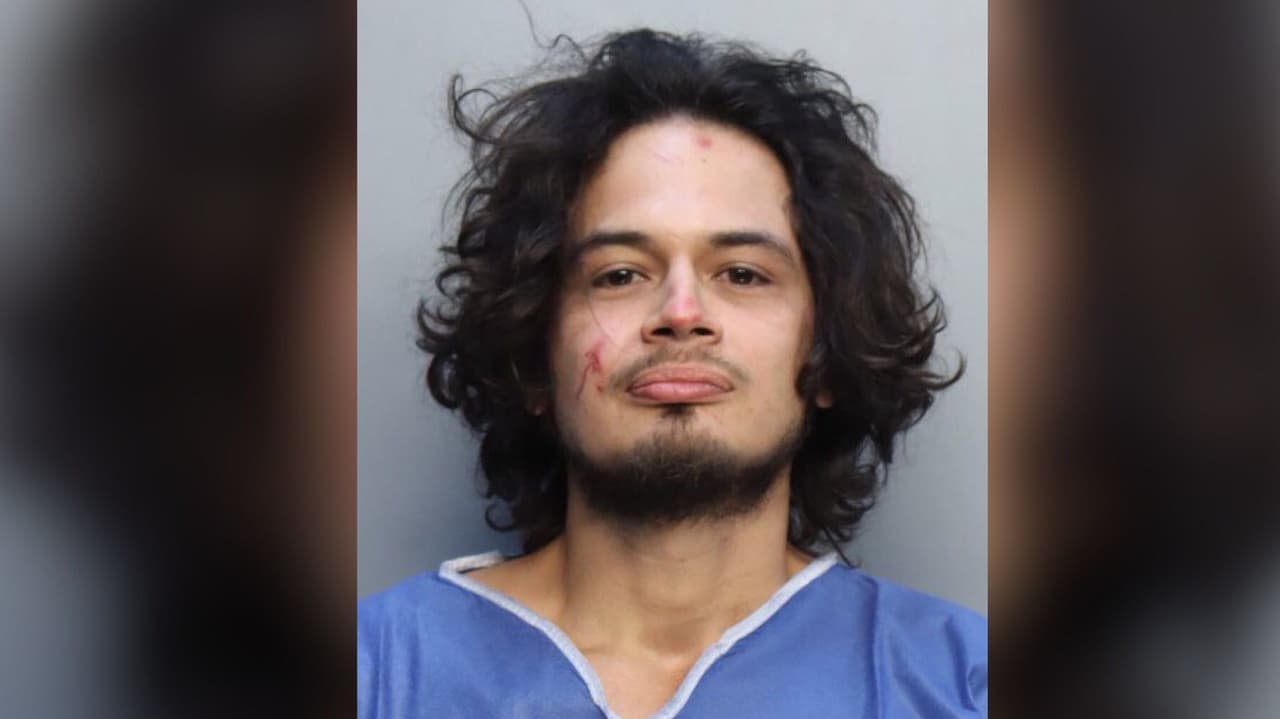 Arrestado por crueldad animal: policía dijo que arrancó la cabeza de una pitón con un mordisco