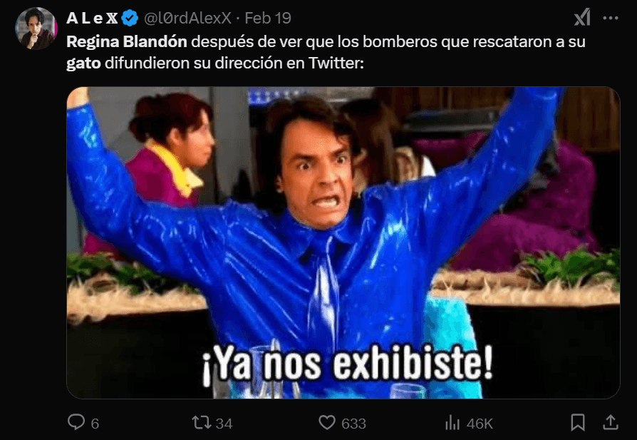 Fans reaccionan con memes al rescate del gato de Regina Blandón