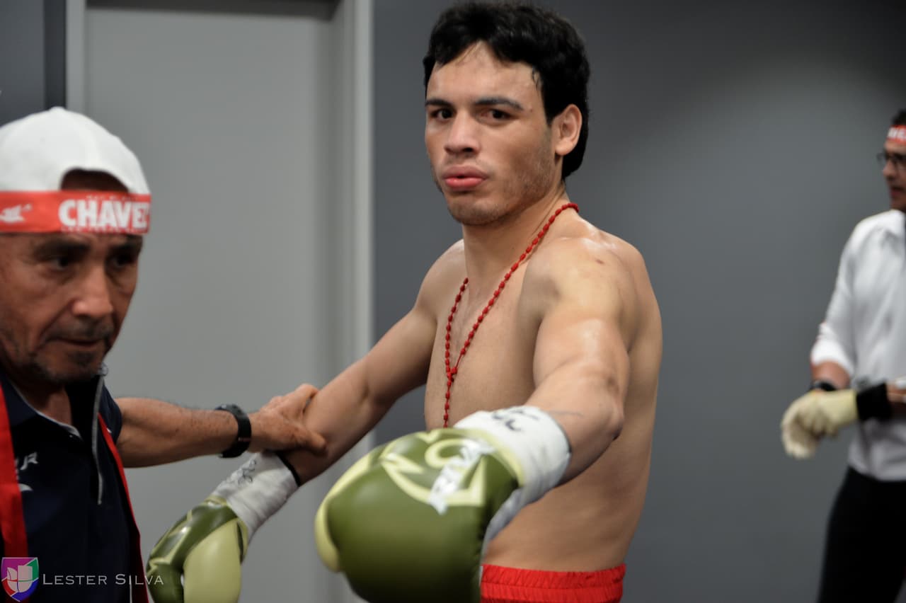 Te acercamos a los golpes que se dieron Saúl 'Canelo' Álvarez en contra de Julio César Chávez Jr., imágenes que te harán sentir en el ring.