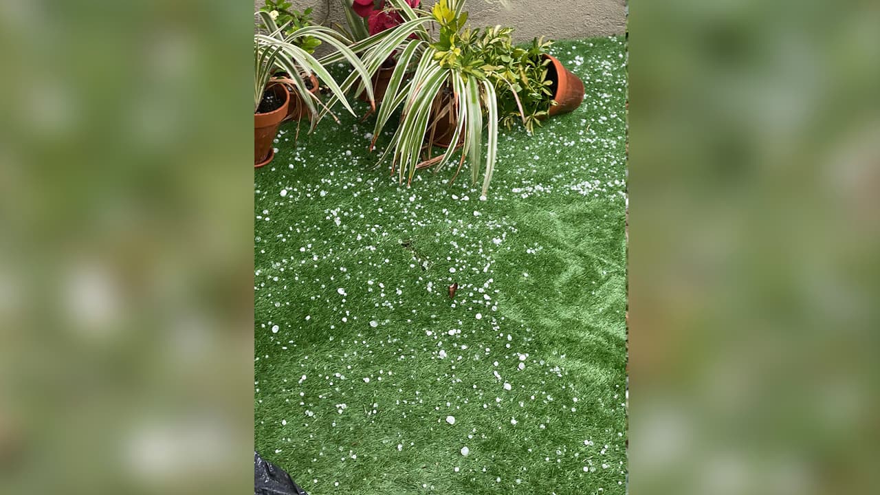 En otras zonas como Jersy Village se registró el granizo acompañado de fuertes ráfagas de vientos.