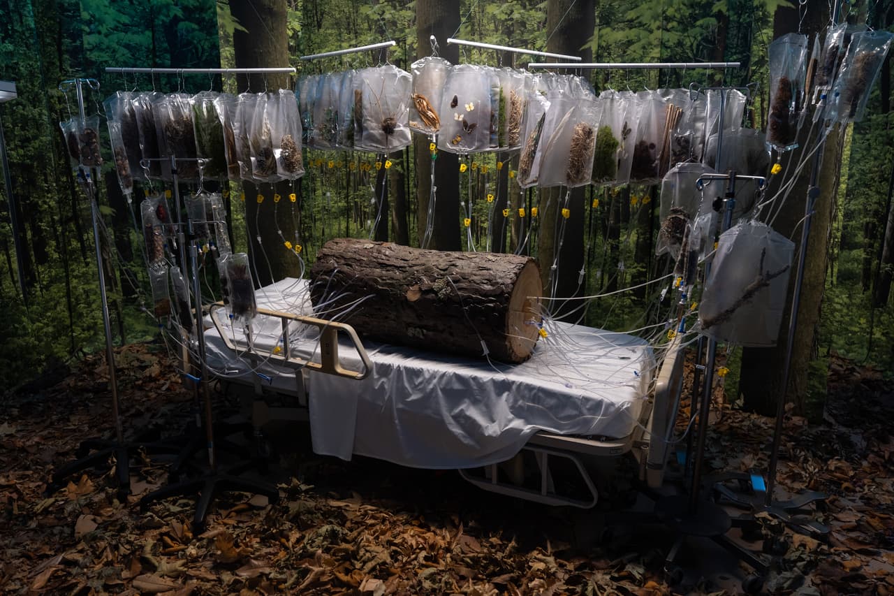 La instalación "La transfusión" de Michelle Lougee se exhibe durante la exposición "Hospital de las emociones" en un antiguo edificio hospitalario de Los Ángeles, el miércoles 22 de julio de 2026. (Foto AP/Jae C. Hong)