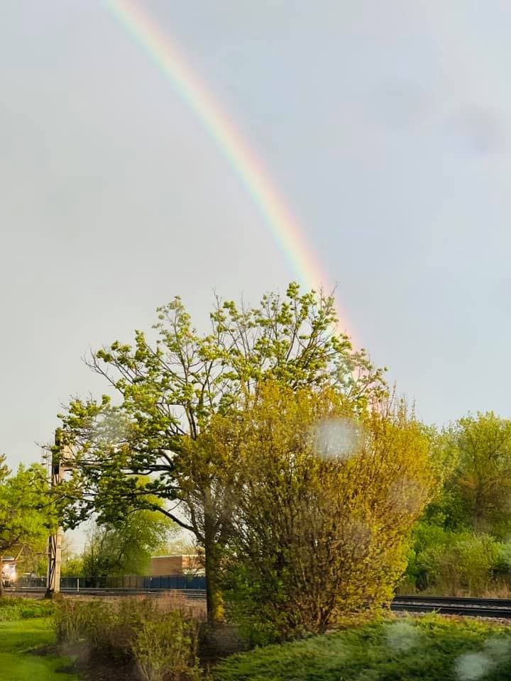 <b>¿Qué pasa en las gotas de agua?</b>
<br>La luz del sol brilla sobre una gota de agua. A medida que la luz pasa a la gota, la luz se dobla o refracta un poco, porque la luz viaja más lentamente en el agua que en el aire (el agua es más densa). Luego, la luz rebota en la parte posterior de la gota de agua y regresa por donde vino, doblándose nuevamente a medida que acelera cuando sale de la gota de agua.