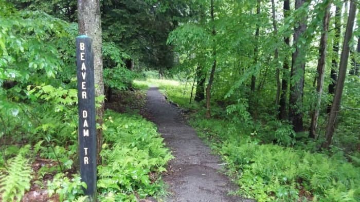 <b><a href="https://stateparks.com/parker_dam_state_park_in_pennsylvania.html" target="_blank">Beaver Dam Trail/Parker Dam State Park </a></b>
<br>
<b>Dirección: </b>28 Fairview Rd, Penfield, PA 15849
<br>Traiga a su perro, si lo desea, cuando camine por Beaver Dam Trail. A solo 2.8 millas, el pintoresco sendero cuenta con muchos árboles frondosos y vistas al río. También puede ver la vida silvestre local, desde salamandras corriendo por el suelo hasta castores.