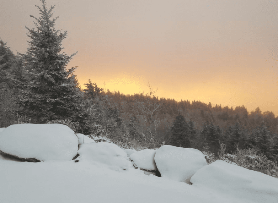 El parque estatal Grandfather Mountain cerró sus instalaciones el viernes 31 de enero, con la esperanza de reabrir el 1ro de febrero si el clima lo permite. En su cuenta de Instagram, @grandfathermtn, sugieren a los visitantes llamar al 828-733-433 para conocer información actualizada sobre las condiciones de apertura.