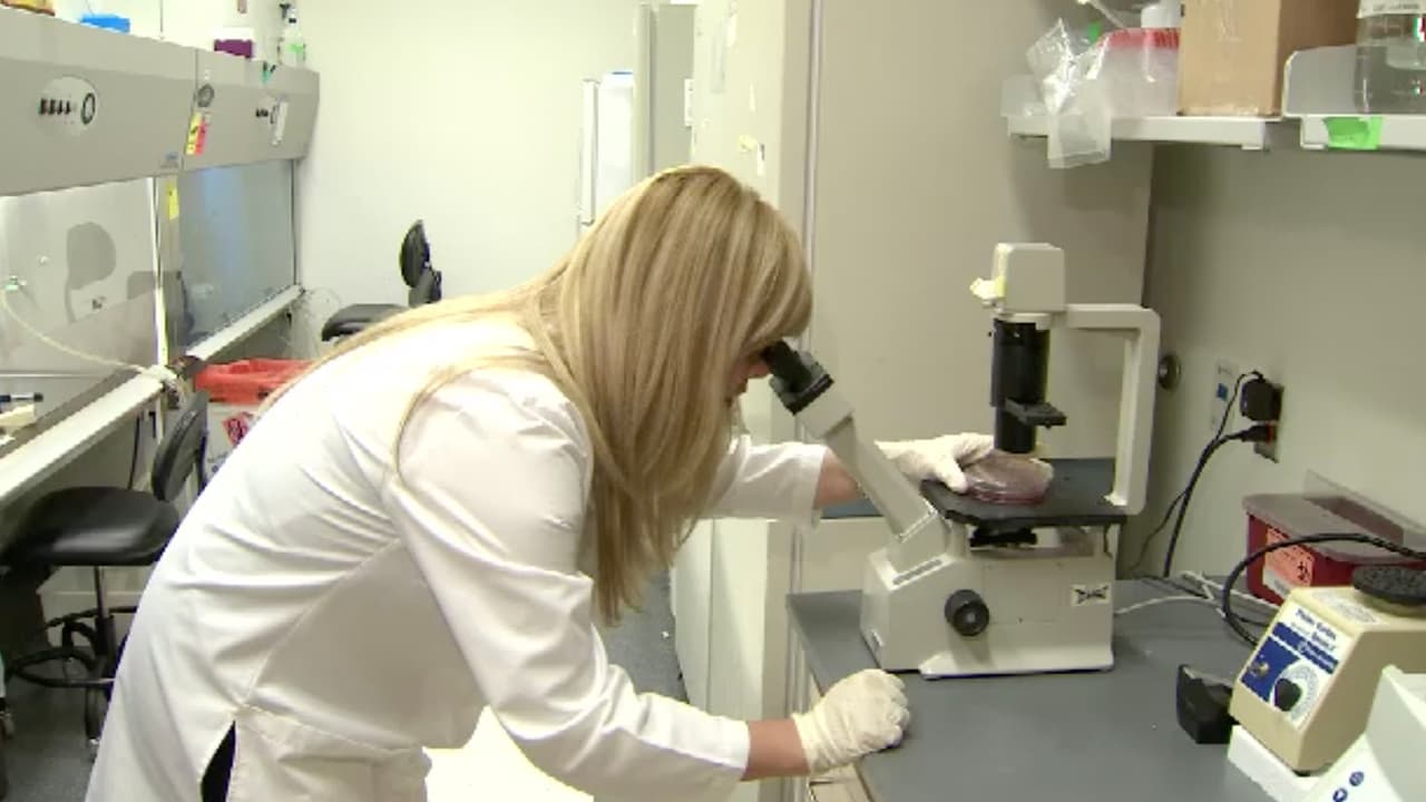 La subvariante BA.2 del ómicron ha provocado un aumento de contagios en países europeos y representa más de la mitad de los casos de coronavirus en EEUU.