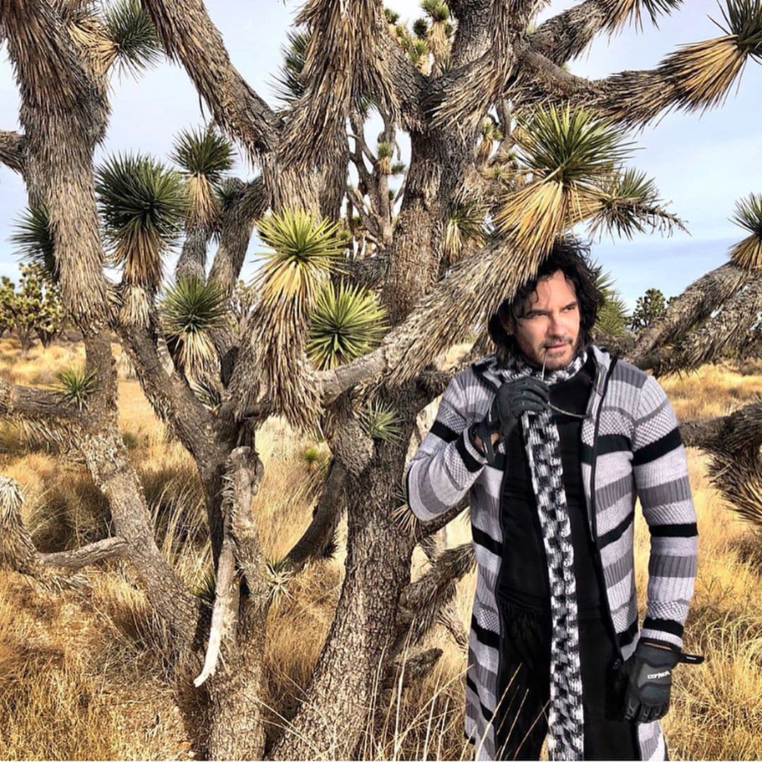 Después de 'Gata salvaje', Mario Cimarro siguió protagonizando telenovelas: 'Pasión de gavilanes', 'El cuerpo del deseo', 'La traición', 'Mar de amor', 'Los herederos del monte', otro melodrama en el que volvió a compartir protagónico con Favela, y 'Vuelve temprano'.