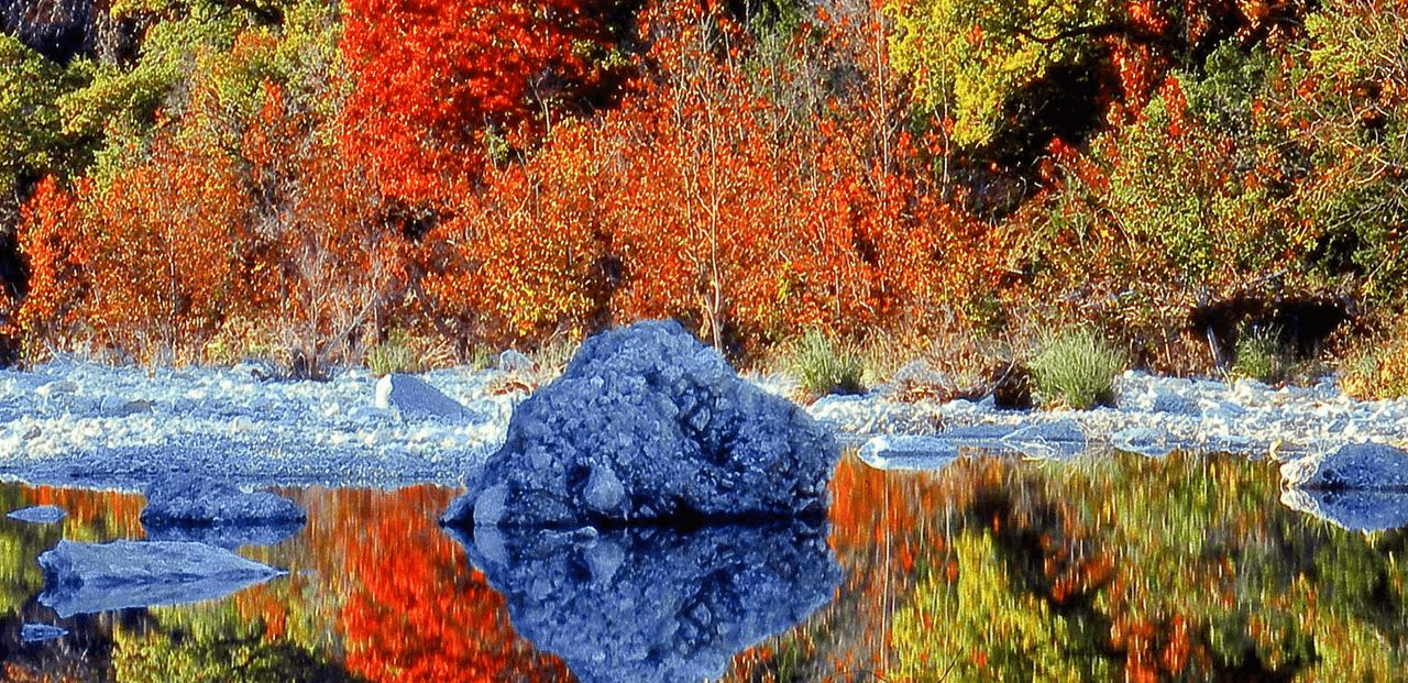 Elige entre 30 campings con agua y electricidad o ve de mochila a uno de los campamentos primitivos.