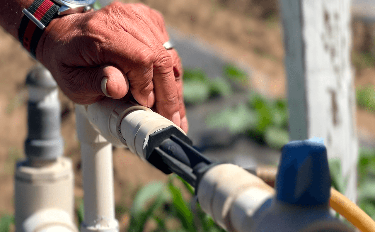 Sistema de riego por goteo