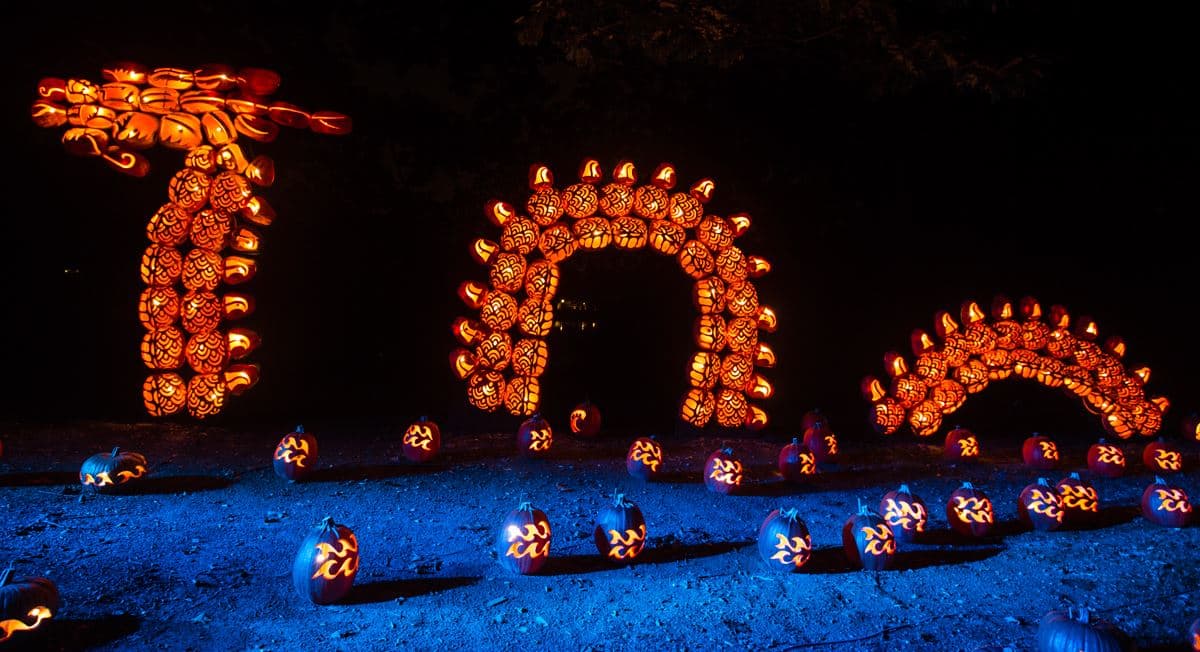 <b>The Great Jack O'Lantern Blaze (Croton-on-Hudson, NY) : </b>esta exhibición lleva más de 10 años atrayendo a miles de familias con sus más de 7,000 calabazas talladas e iluminadas.
<br>