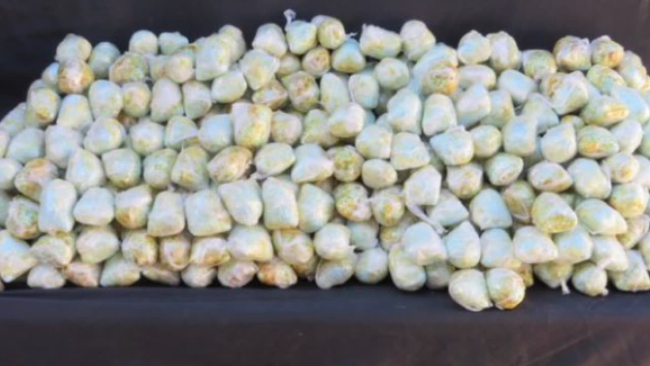 El jueves 27 de abril encontraron 651,800 pastillas en puertas y paneles.