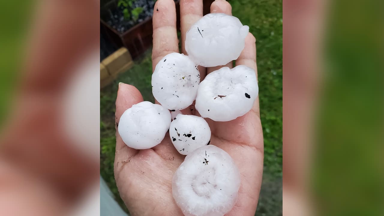 Seguires de
<a href="https://www.univision.com/local/houston-kxln" target="_blank">Univision 45</a> enviaron fotos y videos del granizo que tuvo presencia la mañana de este domingo en algunas zonas del área de Houston.