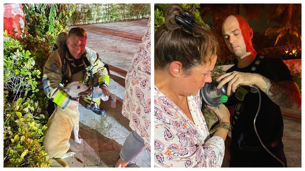 Los bomberos de Fort Lauderdale rescataron este sábado a dos perros de un incendio.
