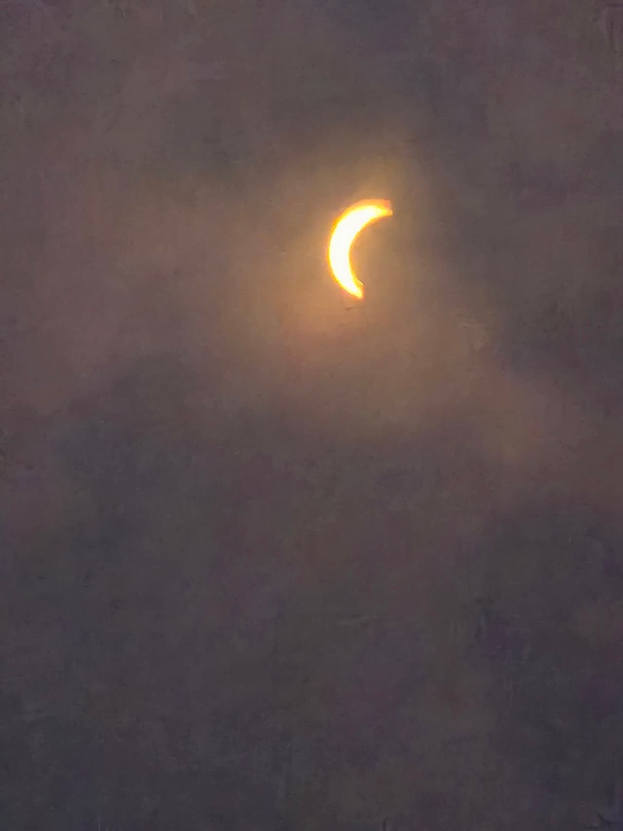 Según expertos de astronomía,
<b>no se registrará otro eclipse solar total hasta el próximo mes de agosto del año 2044.</b>