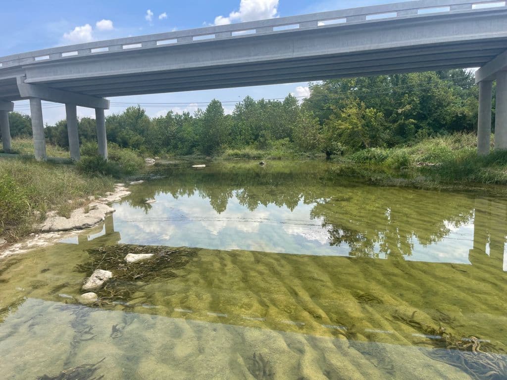 "Hasta ahora, los resultados de la autopsia no han revelado si Ivy nació viva o no. Ella podría haber nacido muerta y la madre entró en pánico. También podría haber nacido viva, luego descartada. Hay campamentos para personas sin hogar en el área, y no podemos descartar la posibilidad de que la madre sea indigente, pero también es posible que se trate de un caso de abuso, encubierto por alguien involucrado. Estamos preocupados por la seguridad de la madre y estamos tratando de encontrarla”, indicó el detective Ben Wright.