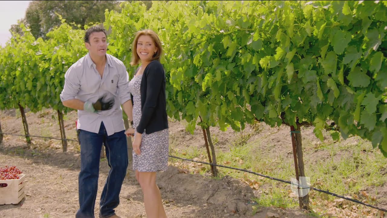 Marcos y Marta estaban felices por todos los sueños que habían alcanzado, en Estados Unidos su vida dio un giro.