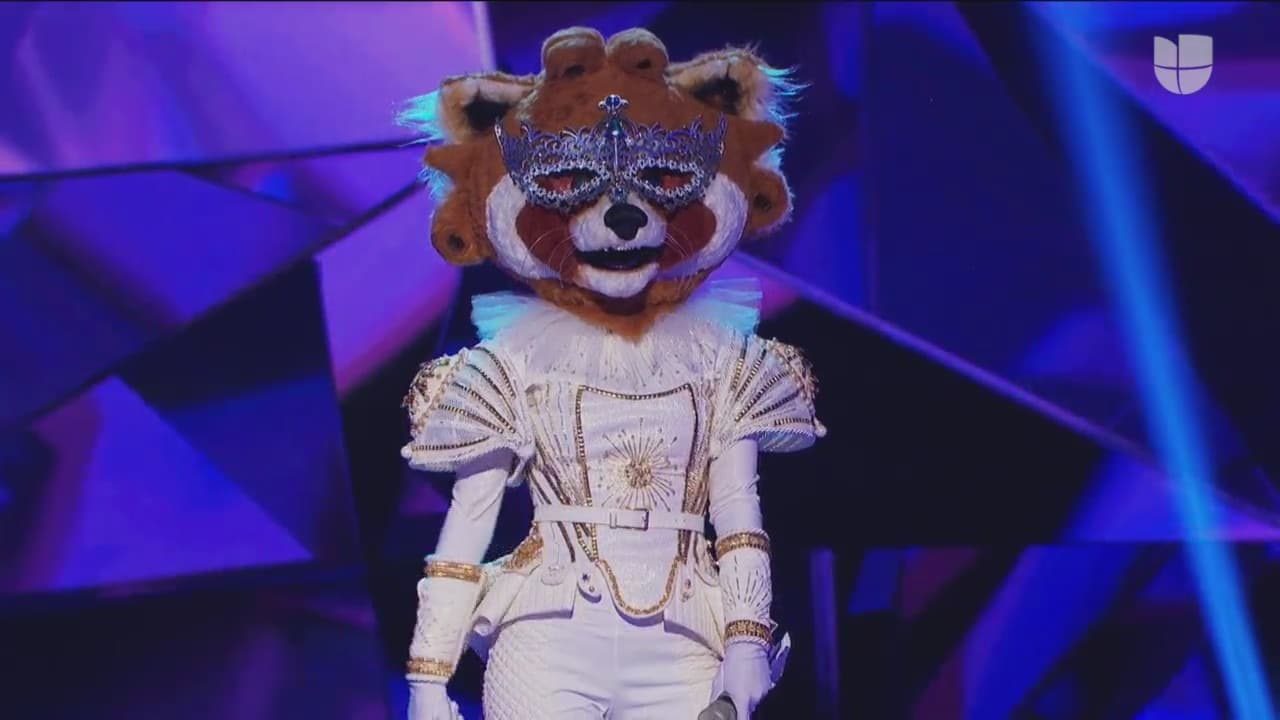 El tercero en aparecer fue Mapache, con una personalidad encantadora y de inmediato robó el corazón del 'investigador' Juanpa Zurita.