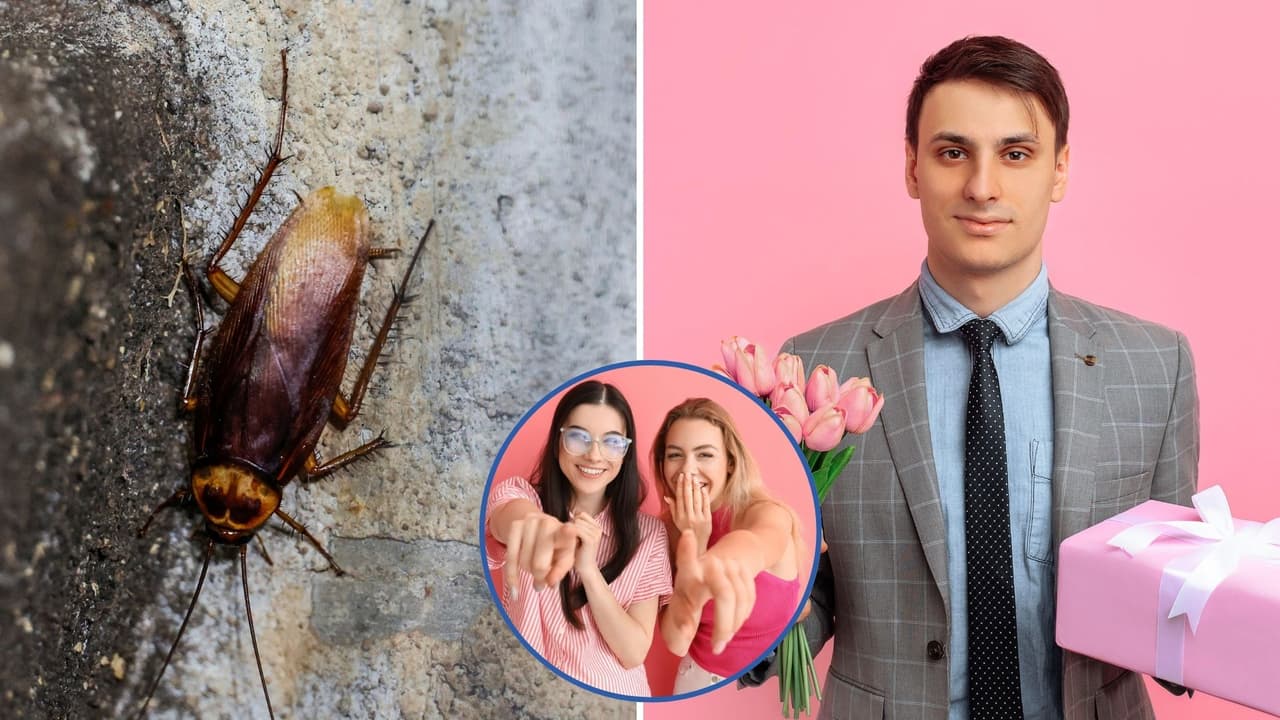 Zoológico lanza convocatoria para bautizar a una cucaracha como tu expareja para recaudar fondos: te explicamos