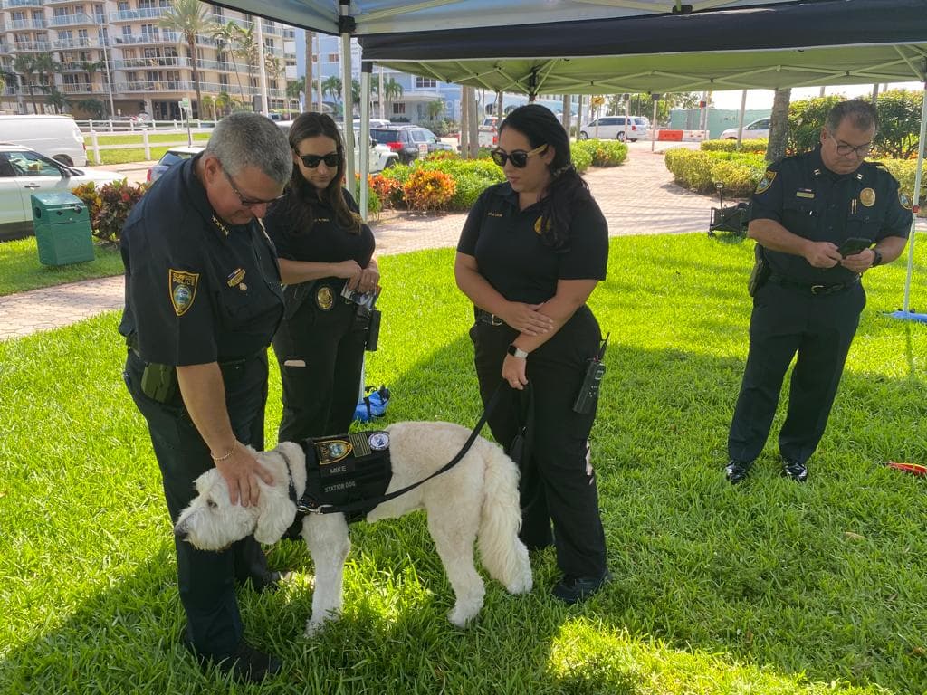 Mike está entrenado para
<a href="https://www.univision.com/local/miami-wltv/perros-llegaron-al-derrumbe-del-edificio-champlain-towers-para-ayudar-a-familiares-e-desaparecidos" target="_blank">dar cariño a los seres humanos</a>.