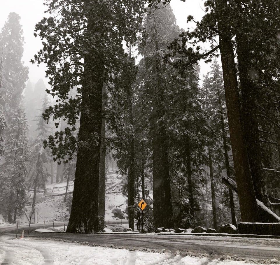 <b>Sequoia and Kings Canyon National Park</b>
<br>También puedes disfrutar del clima invernal en Sequoia and Kings Canyon National Park a cuatro horas de carretera desde Los Ángeles.