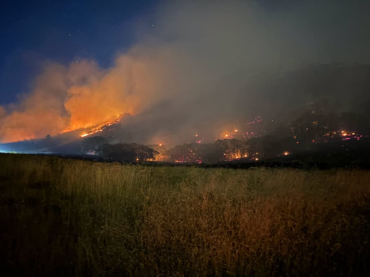 Un incendio forestal en el condado de Juab, Utah, obliga a evacuaciones; el fuego supera los 13,000 acres sin control