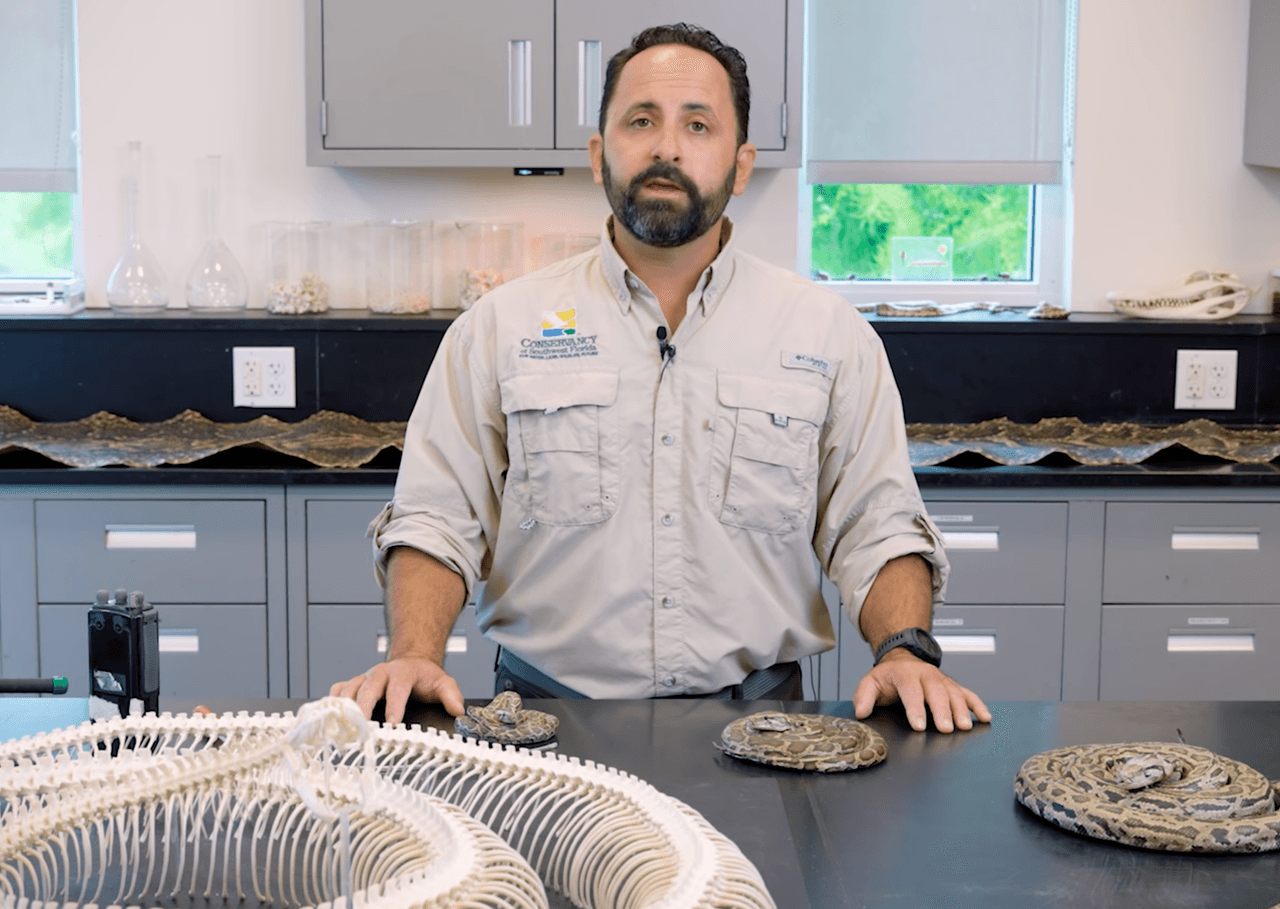 Ian Bartoszek, es un antiguo estudiante de la escuela Marjory Stoneman Douglas, en Parkland. Se encarga de investigar y capturar estas serpientes.