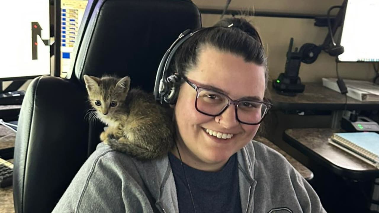 Le dieron un baño y cariño, así pasó de ser una “gatita de alcantarilla” a formar parte del equipo de la Policía de Burleson.