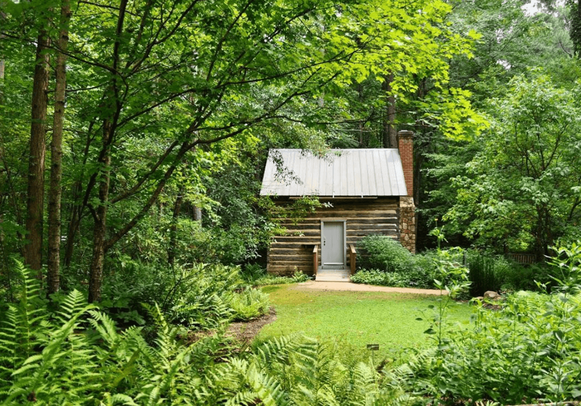 El Jardín Botánico de Carolina del Norte está ubicado en la ciudad de Chapel Hill. Su misión es inspirar la comprensión, el aprecio y la conservación de las plantas, "para así promover una relación sostenible entre las personas y la naturaleza". Dirección: 100 Old Mason Farm Rd, Chapel Hill, NC 27517.