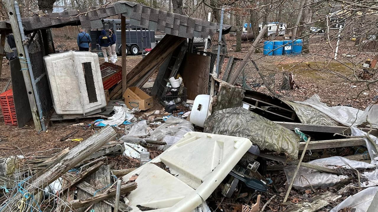 Desmantelan granja donde tenían gallos de pelea en Nueva Jersey
