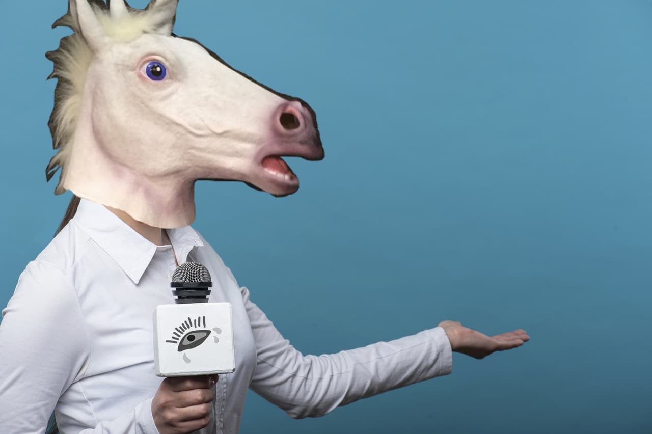 Yorch, pidiendo para un taco.