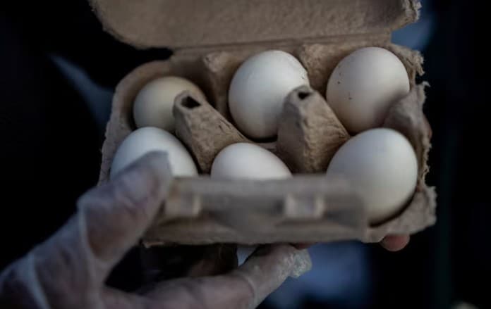 Retiran casi 1.6 millones de docenas de huevos vendidos en Texas por posible contaminación con salmonela