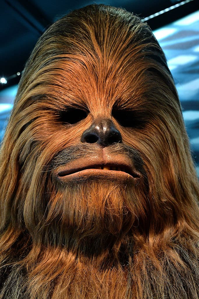 Más de veinte años después, se volvió a poner la piel peluda del personaje para filmar 'Star Wars: Episode III - Revenge of the Sith’ (2005).