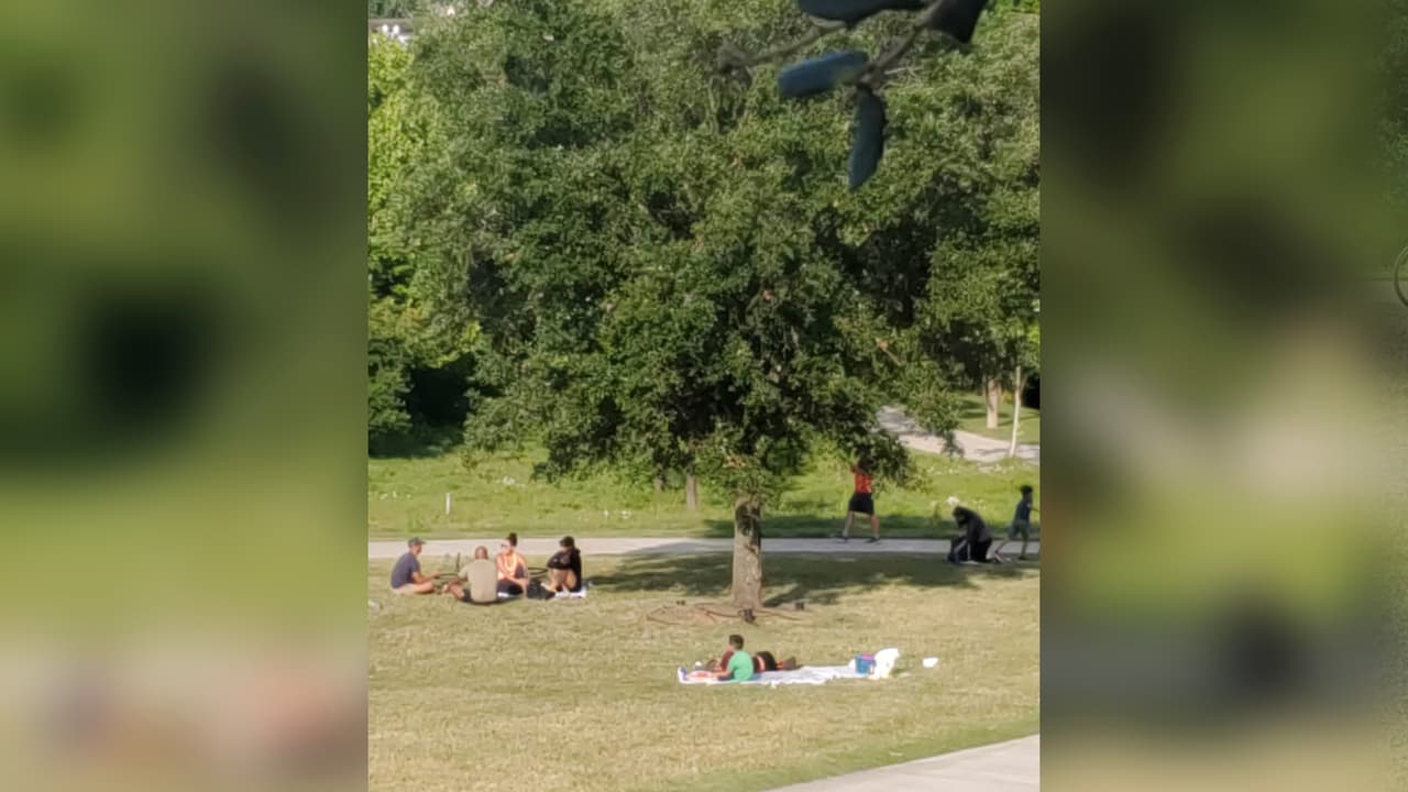 Aunque la afluencia de personas no es la misma que otros días, se puede observar a los que acuden sin mantener el
<a href="https://www.univision.com/local/houston-kxln/video-muestra-el-distanciamiento-social-en-supermercados-de-houston-video">distanciamiento social </a>requerido por las autoridades para evitar el covid-19.