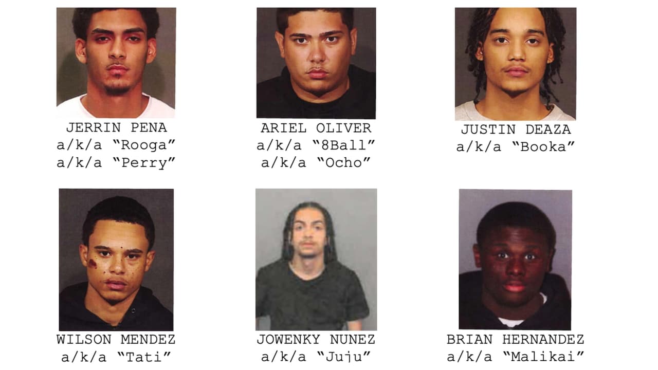 Acusan formalmente a 16 miembros de la OED, una de las pandillas más peligrosas de NYC