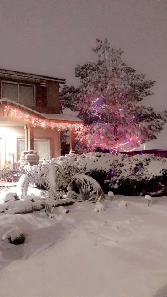 Y así fue la acumulación de nieve en Victorville, en la imagen compartida por Adriana Camarillo.