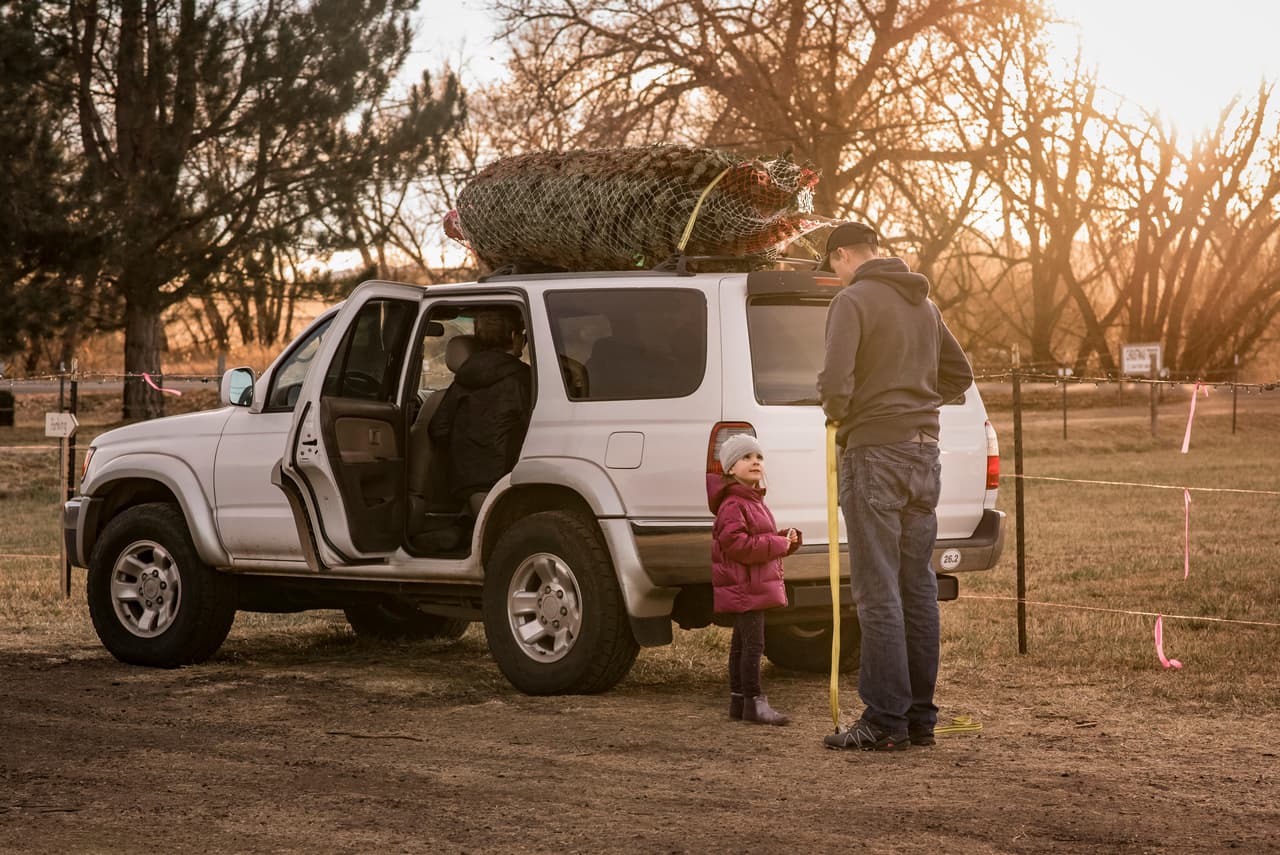 Según la Asociación Estadounidense de Árboles de Navidad (ACTA), se espera que este año 95 millones de hogares en todo el país adornen su sala con un árbol de Navidad. Pero antes de decidir dónde ponerlo o con qué elementos decorarlo, hay que primero transportarlo a la casa; y de no saber cómo, éste más bien podría representar un peligro tanto para ti como para los demás conductores.
<br>
<br>Esto es lo que debes saber para trasladarlo de la manera más segura y conveniente.
