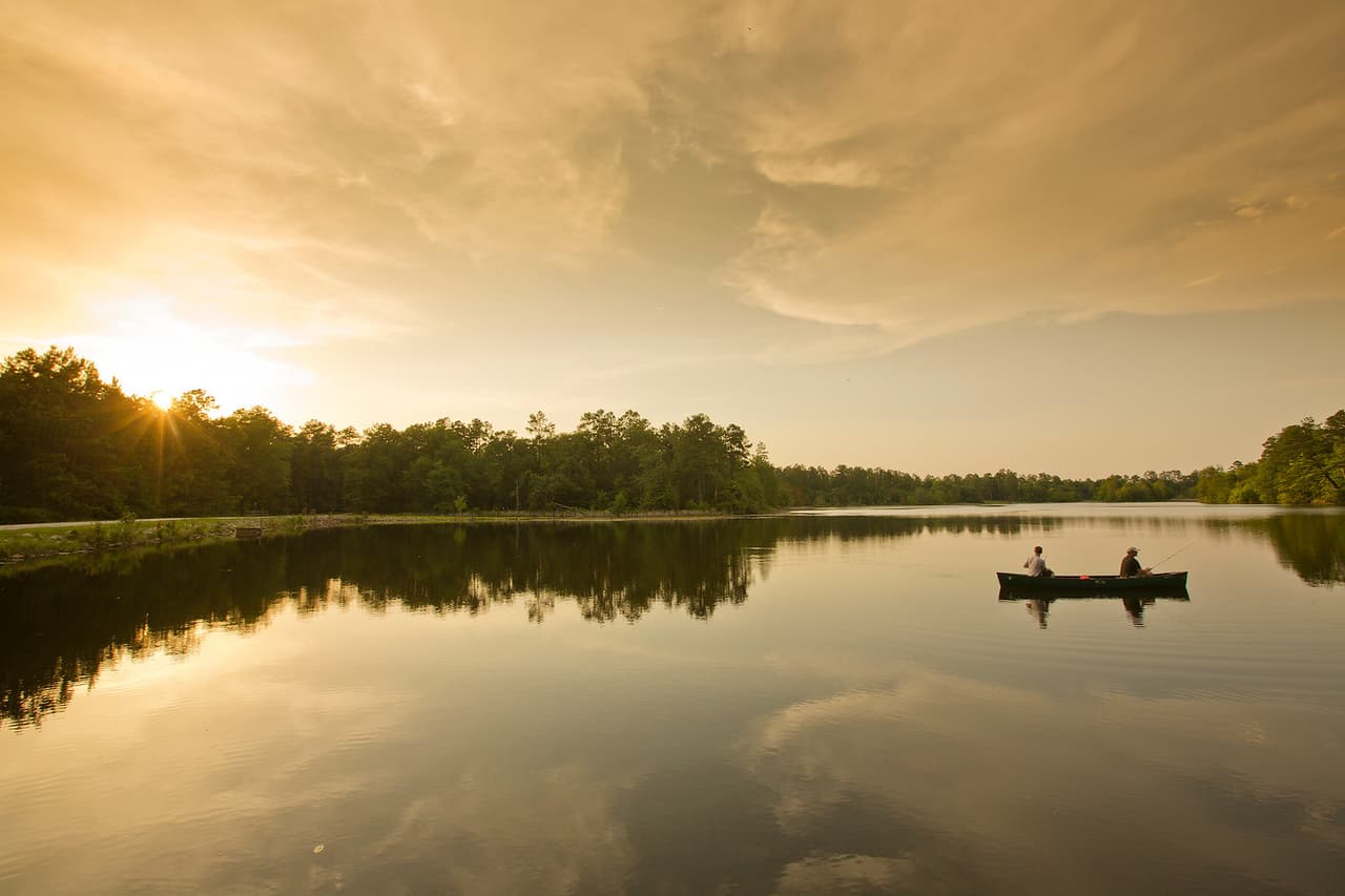 <a href="https://gastateparks.org/MagnoliaSprings"><b>Magnolia Springs State Park (Millen)</b></a>. Los amantes de la historia y la naturaleza encontrarán en Magnolia Springs una delicia para visitar. Trae tus binoculares y zapatos para caminar para explorar los manantiales cristalinos a lo largo del paseo marítimo que ofrecen una buena oportunidad de ver caimanes, tortugas y otros animales salvajes. Visita el pequeño museo que cuenta la historia de Camp Lawton, una prisión de la Guerra Civil que era incluso más grande que Andersonville. Después de un día completo de exploración, querrás quedarte y relajarte en uno de los sitios para acampar o cabañas.
<br>
<br>
<a href="https://goo.gl/maps/vY5o7zcr2nsJkKFG6"><b>Cómo llegar</b></a>