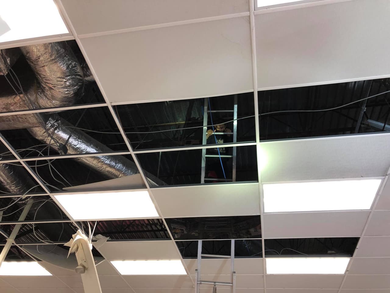 Las autoridades tuvieron que retirar varias placas del cielorraso para dar con los sospechosos