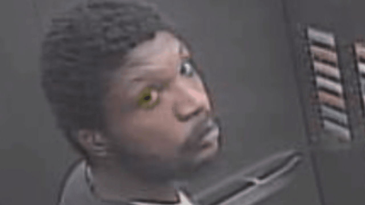 Buscan a esta persona por vandalizar hasta 17 vehículos estacionados en el centro de Chicago