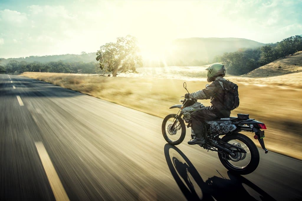 Ambas son muy similares, pero su diferencia más significativa se encuentra en su personalidad.