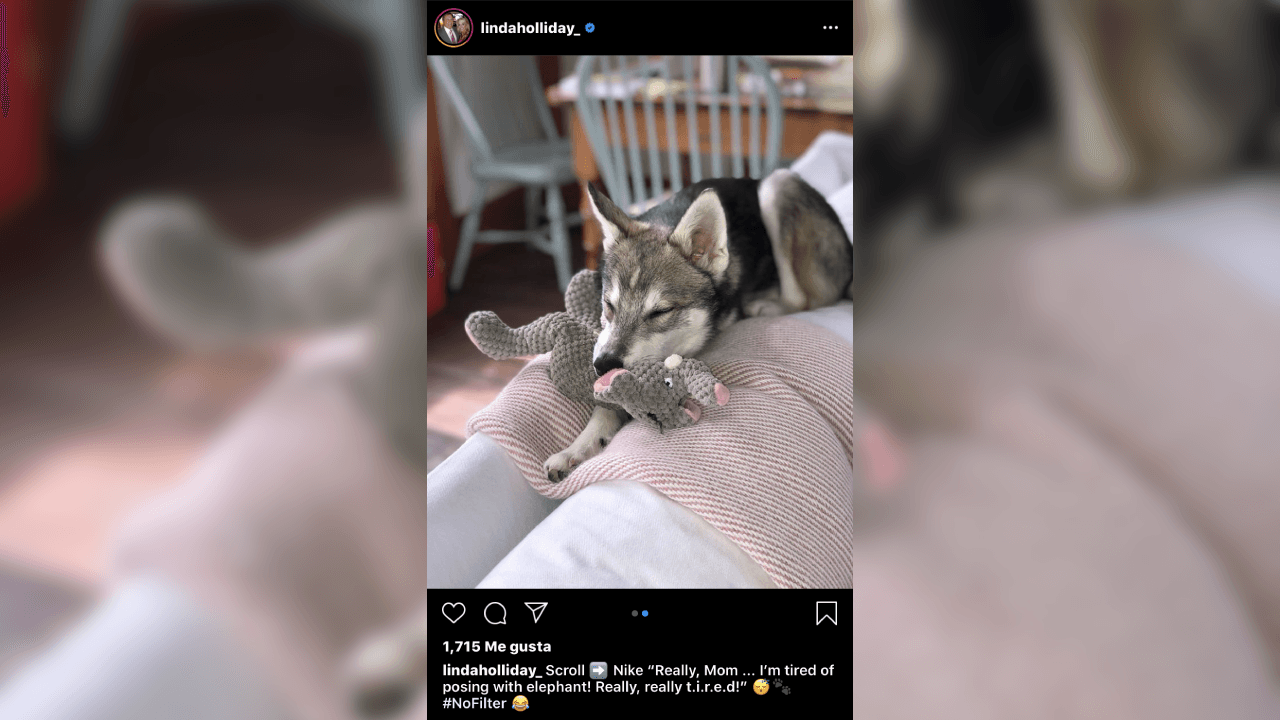En la cuenta de la red social de Instagram Linda, ha subido fotografías de su amada mascota. ¡Él es Nike!