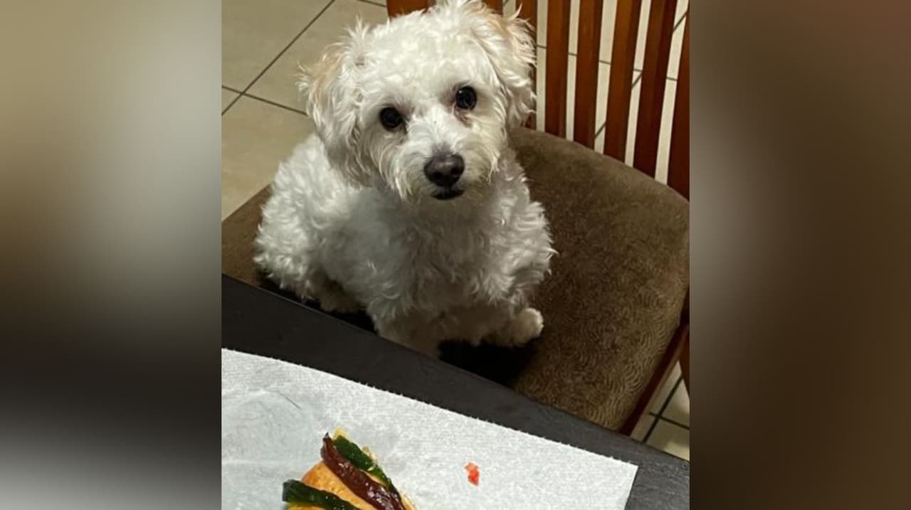 Leticia Tomé envía la foto de Kimi mientras festeja el Día de Reyes.