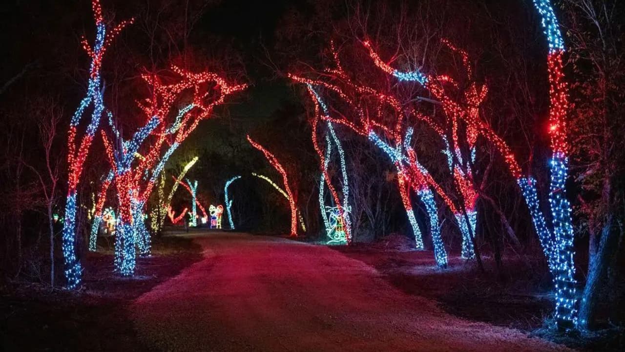 <h3 class="cms-H3-H3">Northern Lights</h3>
<br>
<br>3171 Church Road, Seguin, Texas
<br>
<br>Cuándo: Desde el 24 de noviembre y hasta el 31 de diciembre. De 18:00 a 22:00 horas
<br>Costo: 28 dólares por auto, pero si compras en línea te hacen un descuento de 4 dólares. No se acepta efectivo en el lugar.
<br>
<br>Northern Lights es un drive-thru en la que puedes disfrutar un paseo de una milla para ver la instalación de más de un millón de luces navideñas.
<br>