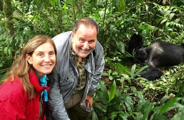 ¿Qué tal? El gorila estaba tomando un descanso.