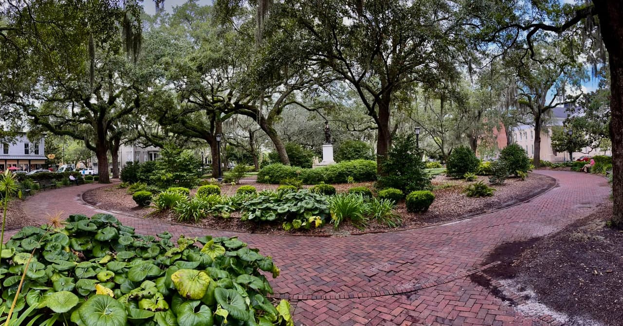 <b>Chippewa Square</b> es donde el personaje principal, interpretado por Tom Hanks, espera el autobús mientras cuenta las historias más importantes de su vida.
<br>
<br>
<b><a href="https://www.google.com/maps/place/Chippewa+Square/@32.0758198,-81.0931476,15z/data=!4m2!3m1!1s0x0:0x7cab2d02f79e9536?sa=X&ved=2ahUKEwiRg9D_z8HwAhVHqJ4KHRpvAh4Q_BIwKHoECDkQBQ">Cómo llegar</a></b>