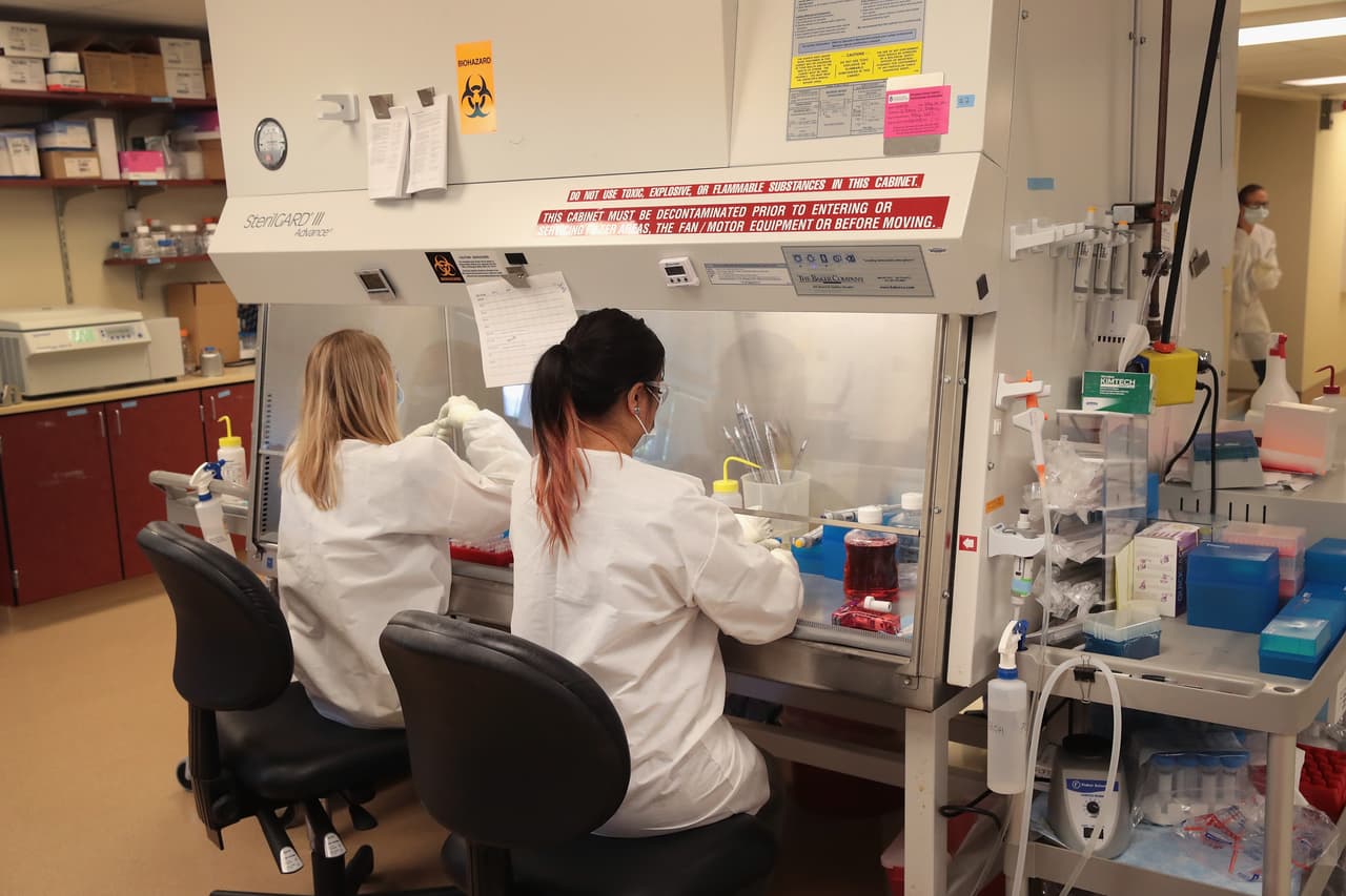 El gobierno de Trump pone fin a las investigaciones de tejido fetal otorgándole otra victoria a los antiaborto