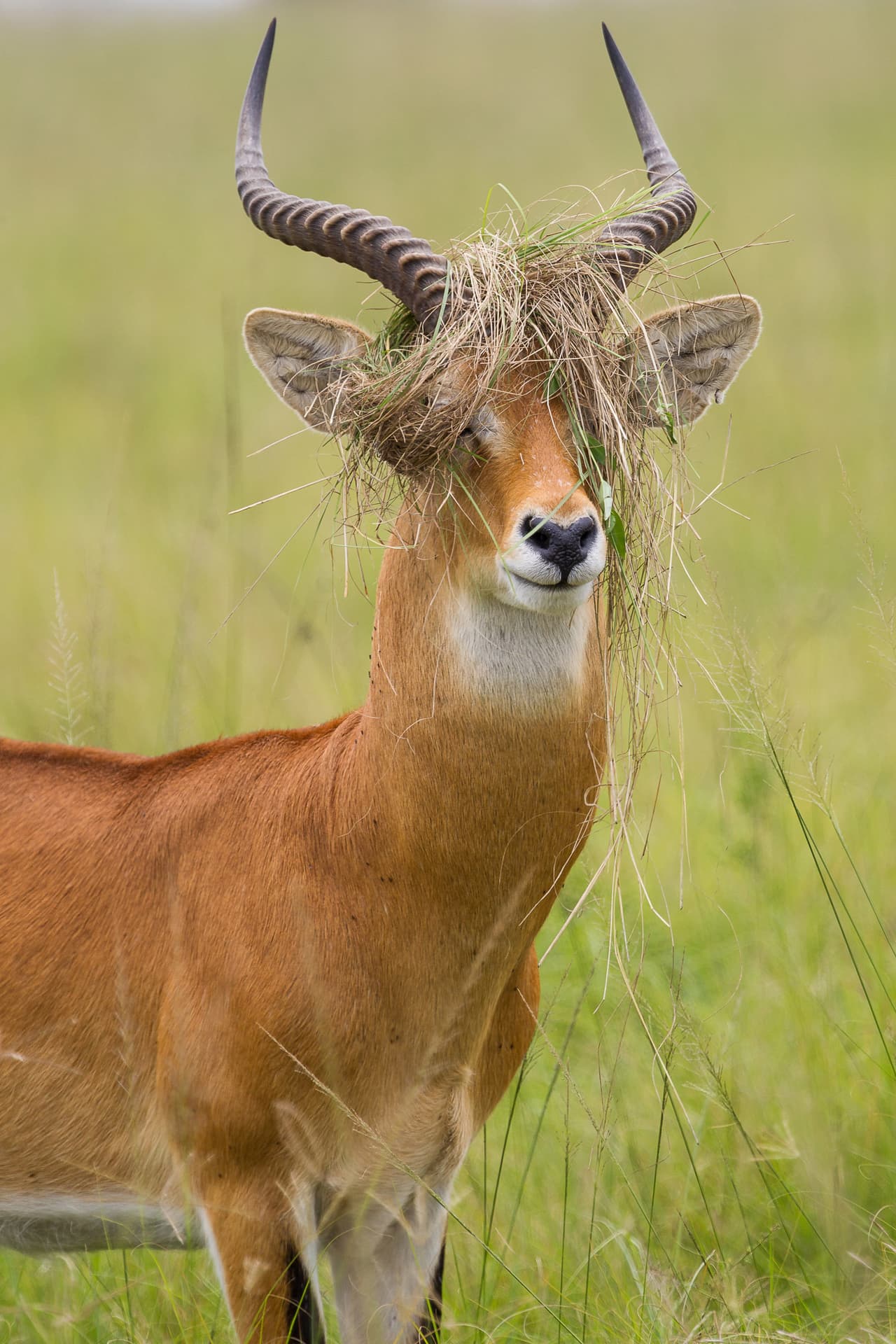 ¡Terrible! Nada peor que un 'bad hair day'